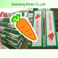 2015 New High Quality Fresh Organic Carrots